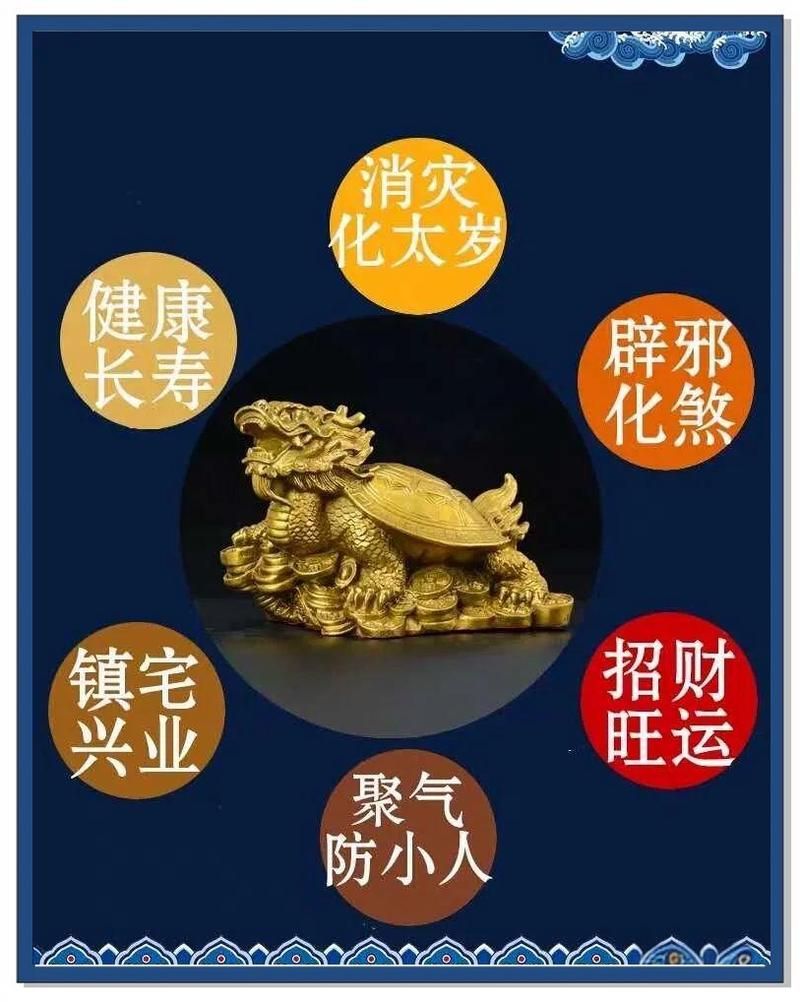 龍龜?shù)臄[放方法及禁忌，龍龜擺放方法及禁忌 龍龜?shù)臄[放方法及禁忌，龍龜擺放方法及禁忌 龍魚百科 第11張