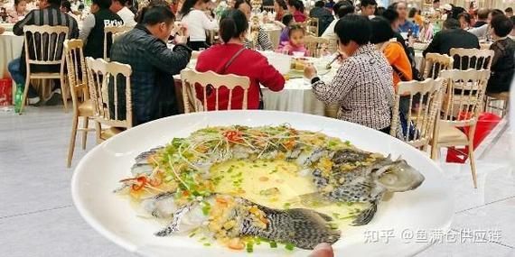 雪龍魚的主要銷售渠道有哪些?,雪龍魚的主要銷售渠道 龍魚百科 第7張 雪龍魚的主要銷售渠道有哪些?,雪龍魚的主要銷售渠道 雪龍魚的主要銷售渠道有哪些?,雪龍魚的主要銷售渠道 龍魚百科 第7張