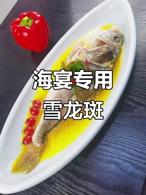 雪龍魚的主要銷售渠道有哪些?,雪龍魚的主要銷售渠道 龍魚百科 第6張 雪龍魚的主要銷售渠道有哪些?,雪龍魚的主要銷售渠道 雪龍魚的主要銷售渠道有哪些?,雪龍魚的主要銷售渠道 龍魚百科 第6張