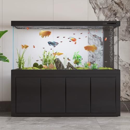 龍魚(yú)飼養(yǎng)設(shè)備價(jià)格范圍是多少？，龍魚(yú)飼養(yǎng)設(shè)備價(jià)格范圍