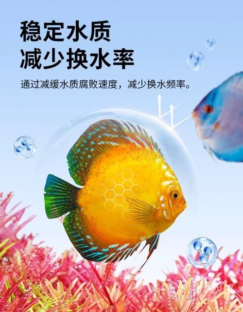 有哪些品牌的魚缸益生菌推薦？，選擇魚缸益生菌產品 有哪些品牌的魚缸益生菌推薦？，選擇魚缸益生菌產品 龍魚百科 第2張