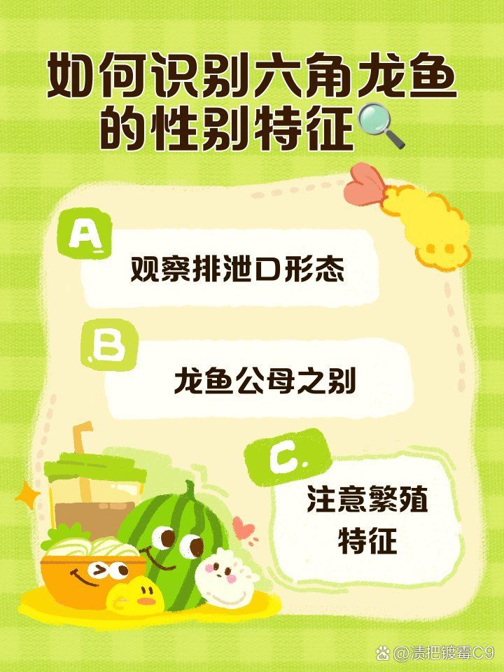 如何區分六角龍魚的性別，如何區分六角龍魚的性別， 如何區分六角龍魚的性別，如何區分六角龍魚的性別， 龍魚百科 第2張