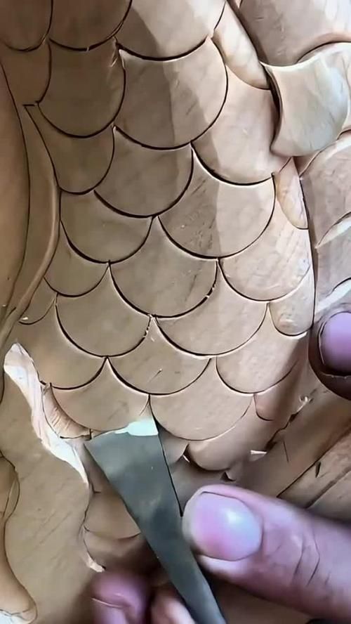 如何鑒別海港龍魚的品質，如何判斷海港龍魚的品質？ 如何鑒別海港龍魚的品質，如何判斷海港龍魚的品質？ 龍魚百科 第4張