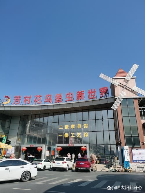 哪里可以買到正宗的廣州龍魚？