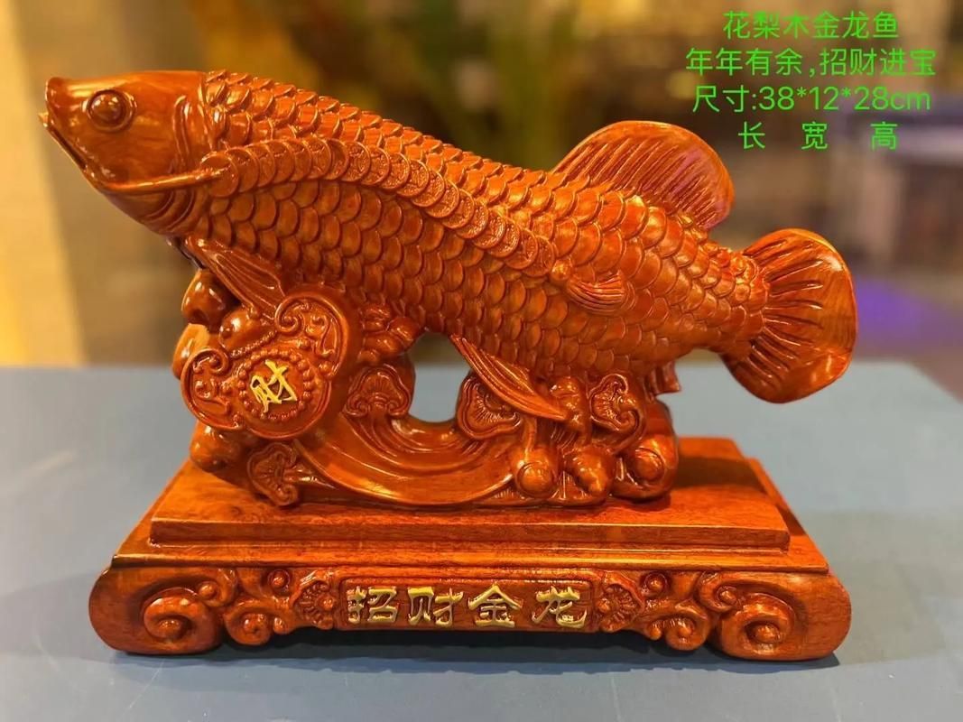 生財金龍魚圖片大全,生財金龍魚圖片 龍魚百科 第16張 生財金龍魚圖片大全,生財金龍魚圖片 生財金龍魚圖片大全,生財金龍魚圖片 龍魚百科 第16張