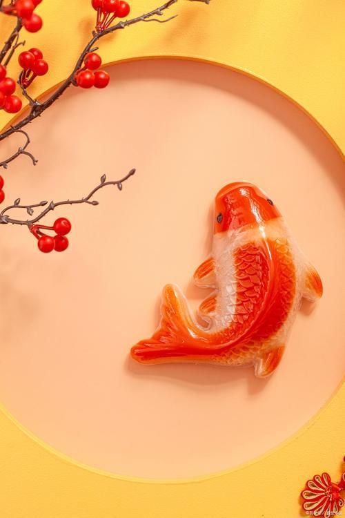 風水魚圖片，風水魚擺放有哪些禁忌？ 風水魚圖片，風水魚擺放有哪些禁忌？ 龍魚百科 第14張