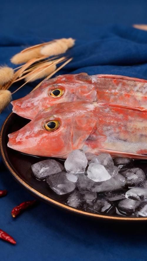 如何判斷紅頭魚是否新鮮 龍魚百科 第1張 如何判斷紅頭魚是否新鮮 如何判斷紅頭魚是否新鮮 龍魚百科 第1張
