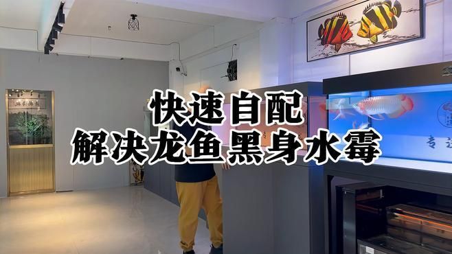 有哪些藥物可以治療龍魚的病？，龍魚常見病用藥速查表