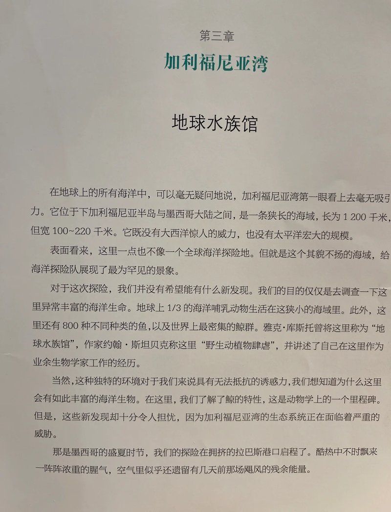 鯊魚如何利用電感受器導(dǎo)航，奇特生物電感受器d-wave舞者-sunny曦 鯊魚如何利用電感受器導(dǎo)航，奇特生物電感受器d-wave舞者-sunny曦 龍魚百科 第1張