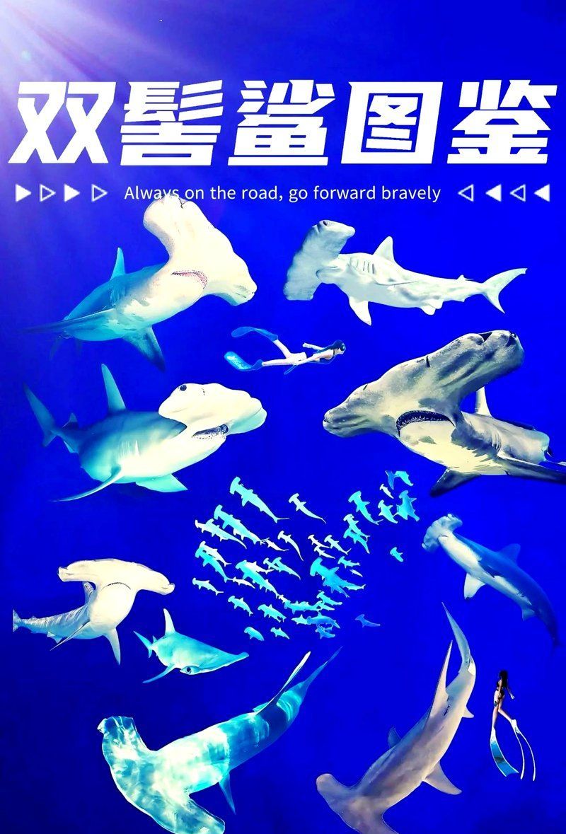 鯊魚如何利用電感受器導(dǎo)航，奇特生物電感受器d-wave舞者-sunny曦 鯊魚如何利用電感受器導(dǎo)航，奇特生物電感受器d-wave舞者-sunny曦 龍魚百科 第2張
