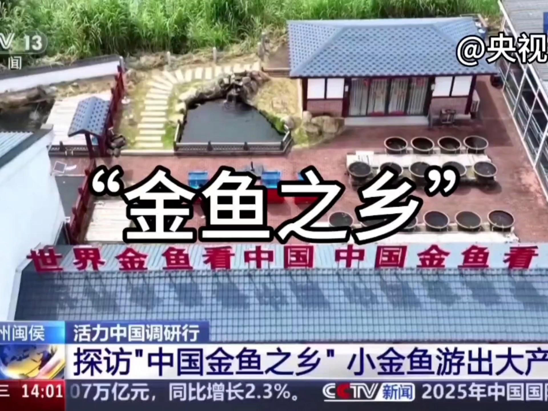 閩侯龍魚養(yǎng)殖有哪些成功案例，央視《新聞直播間》:閩侯縣龍魚養(yǎng)殖技術(shù)創(chuàng)<strong><mark>新和</mark></strong>品牌建設(shè)