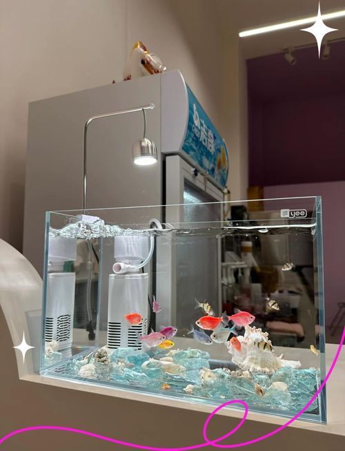 如何預防虎魚感染 如何預防虎魚感染 龍魚百科 第14張