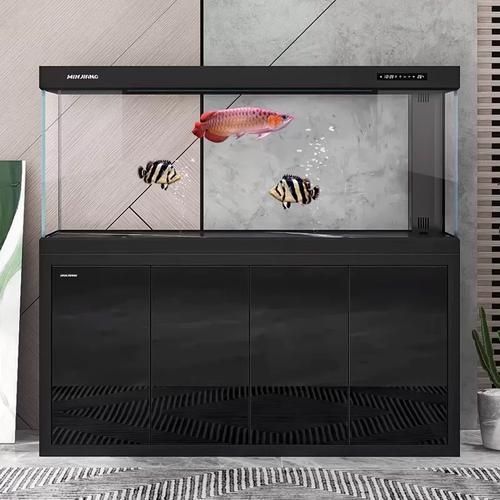 知乎上哪些龍魚缸品牌評價最好？，知乎上哪些龍魚缸品牌評價最好伊罕魚缸品牌對比表格 知乎上哪些龍魚缸品牌評價最好？，知乎上哪些龍魚缸品牌評價最好伊罕魚缸品牌對比表格 龍魚百科 第10張