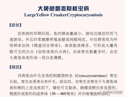 如何預防黃鰭鯧魚疾病？，trachinotusblochii（trachinotusblochii） 如何預防黃鰭鯧魚疾病？，trachinotusblochii（trachinotusblochii） 龍魚百科 第2張