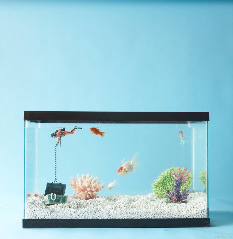如何計算魚缸的水容量，如何計算魚缸的水容量，魚缸水量計算方法推薦 如何計算魚缸的水容量，如何計算魚缸的水容量，魚缸水量計算方法推薦 龍魚百科 第1張