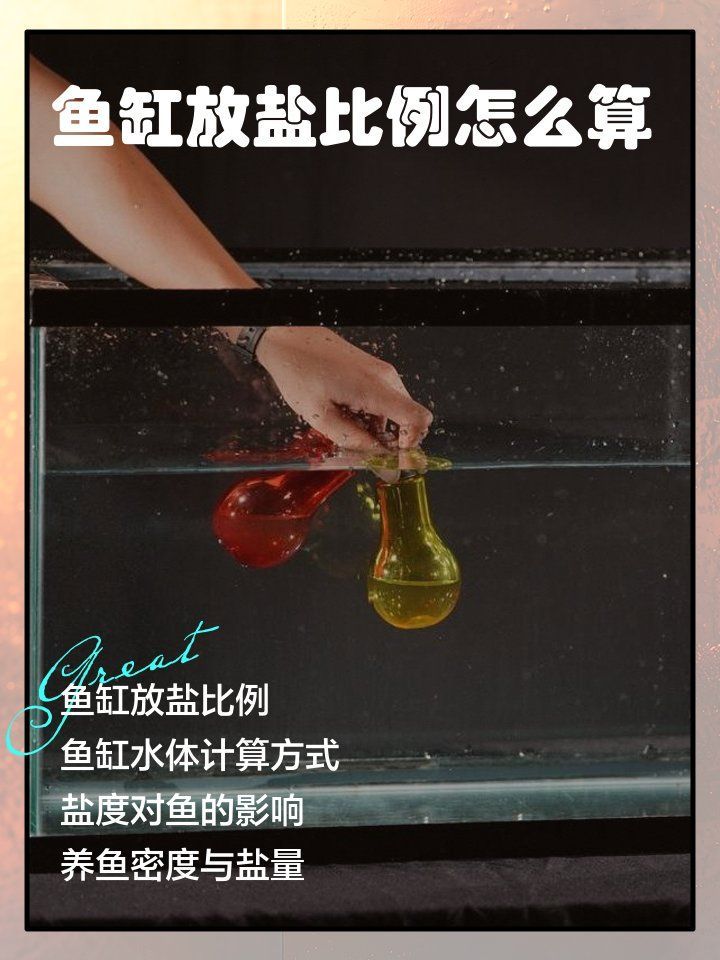 1000升水加多少鹽合適，1000升水加多少鹽合適1000升水加鹽的合適用途 1000升水加多少鹽合適，1000升水加多少鹽合適1000升水加鹽的合適用途 龍魚百科 第2張
