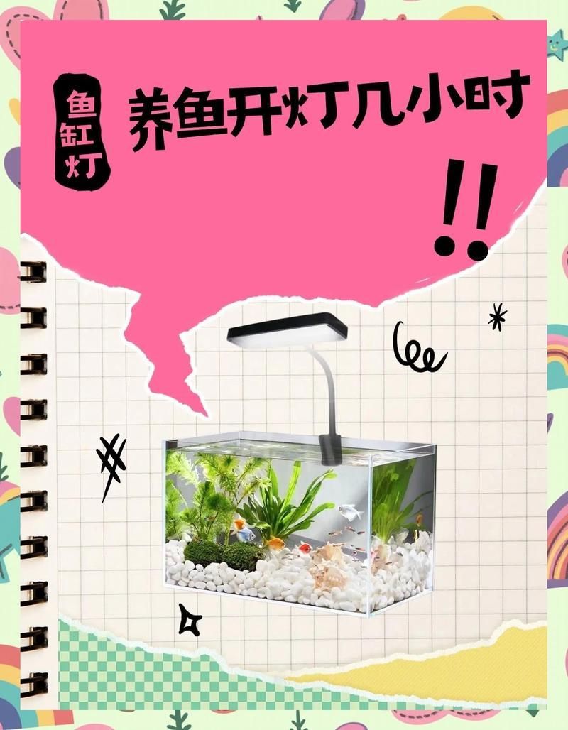 魚缸開燈多久會影響魚，魚缸開燈多久會影響魚,魚缸開燈多久會影響魚類健康 魚缸開燈多久會影響魚，魚缸開燈多久會影響魚,魚缸開燈多久會影響魚類健康 龍魚百科 第2張