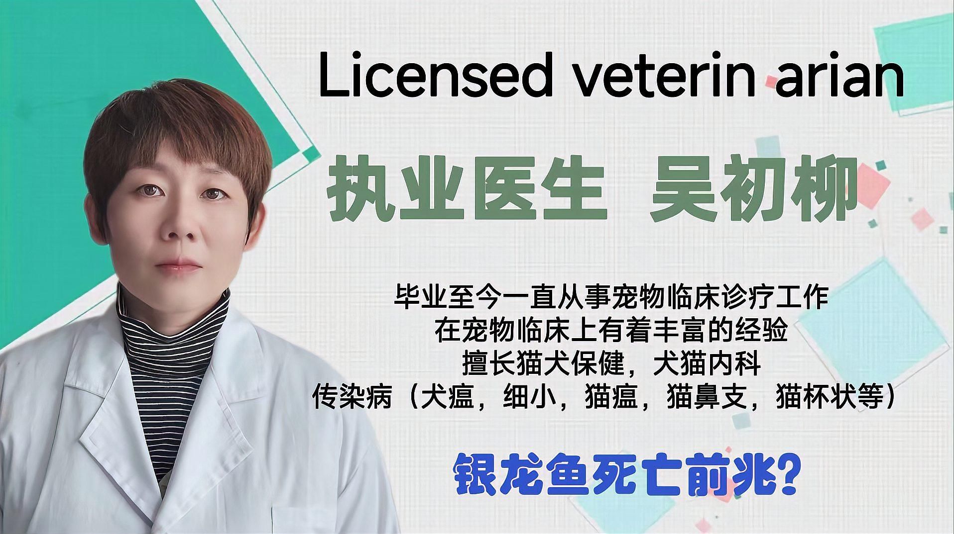 銀龍魚(yú)突然死亡有哪些前兆？