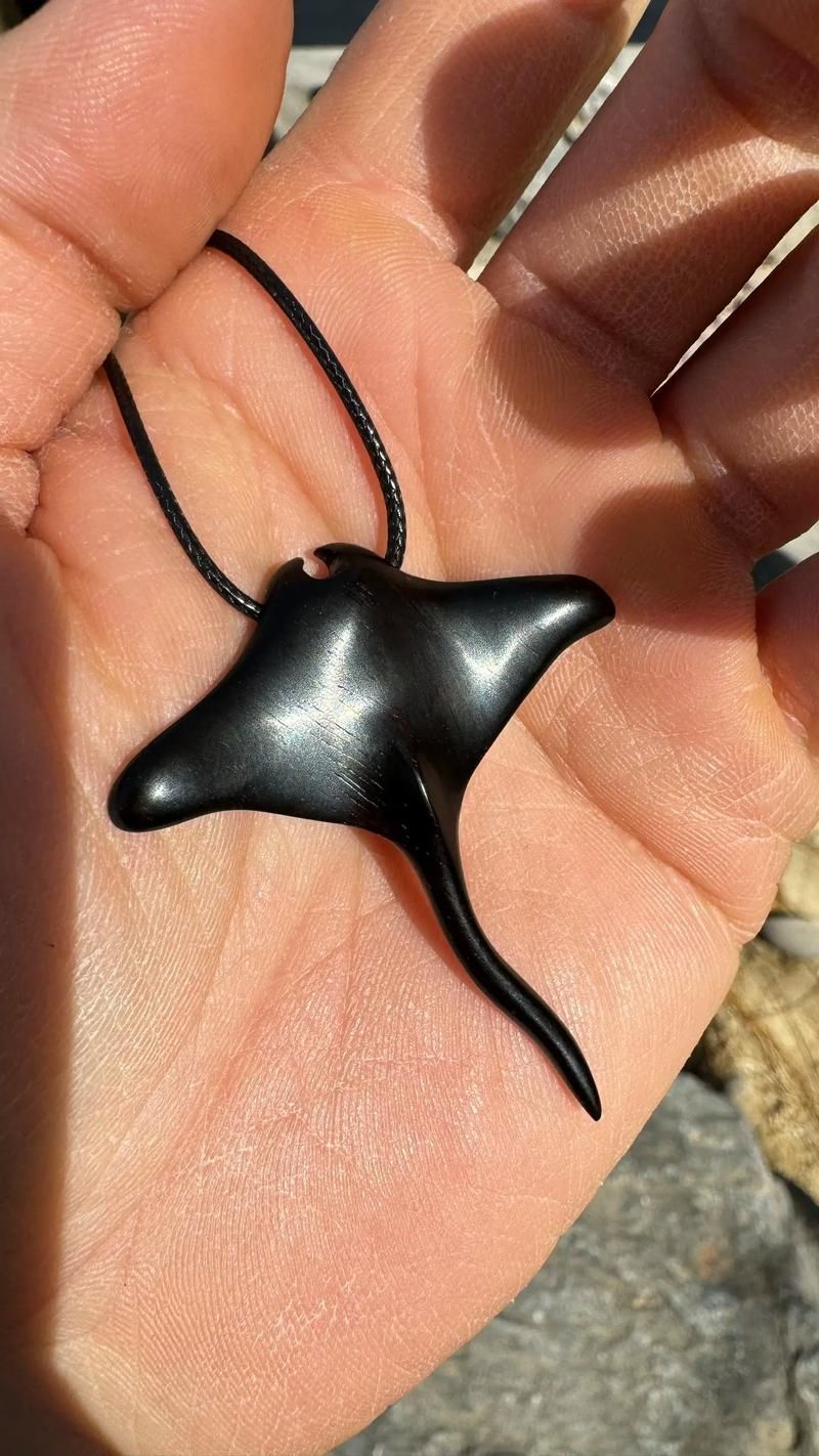 如何區分不同品種的福魟?,如何區分不同品種的福魟(蝠鲼) 龍魚百科 第6張 如何區分不同品種的福魟?,如何區分不同品種的福魟(蝠鲼) 如何區分不同品種的福魟?,如何區分不同品種的福魟(蝠鲼) 龍魚百科 第6張
