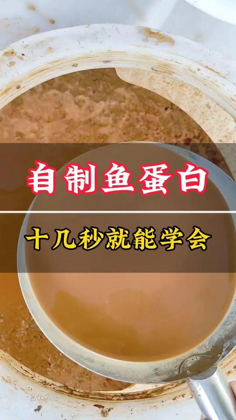 如何降低龍魚的飼養(yǎng)成本，如何降低龍魚的飼養(yǎng)成本，降低龍魚飼養(yǎng)成本飼養(yǎng)成本 如何降低龍魚的飼養(yǎng)成本，如何降低龍魚的飼養(yǎng)成本，降低龍魚飼養(yǎng)成本飼養(yǎng)成本 龍魚百科 第3張