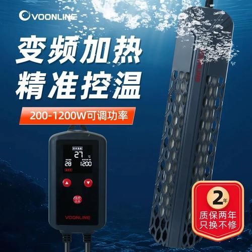 如何降低龍魚的飼養(yǎng)成本，如何降低龍魚的飼養(yǎng)成本，降低龍魚飼養(yǎng)成本飼養(yǎng)成本 如何降低龍魚的飼養(yǎng)成本，如何降低龍魚的飼養(yǎng)成本，降低龍魚飼養(yǎng)成本飼養(yǎng)成本 龍魚百科 第7張