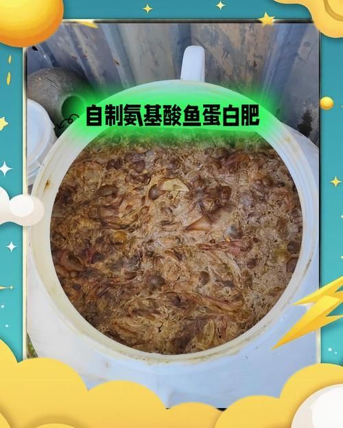 如何降低龍魚的飼養(yǎng)成本，如何降低龍魚的飼養(yǎng)成本，降低龍魚飼養(yǎng)成本飼養(yǎng)成本 如何降低龍魚的飼養(yǎng)成本，如何降低龍魚的飼養(yǎng)成本，降低龍魚飼養(yǎng)成本飼養(yǎng)成本 龍魚百科 第2張