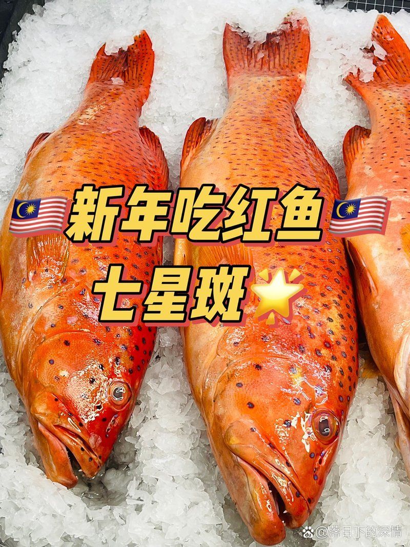 七條魚中紅色魚的意義是什么 七條魚中紅色魚的意義是什么 龍魚百科 第1張