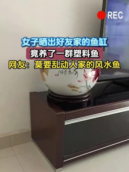 家里的魚突然死了玄學，家里的魚突然死了玄學，家里的魚死了怎么辦？