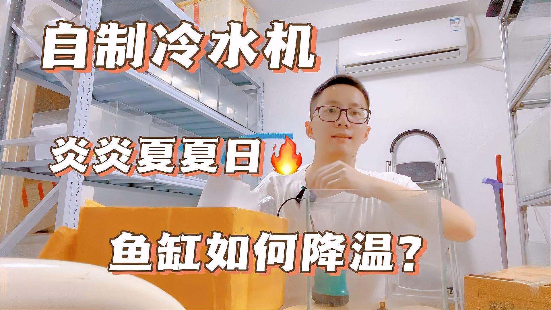 如何降低龍魚(yú)缸的水溫？，夏季龍魚(yú)缸如何降溫