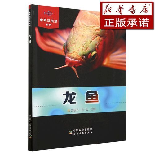 《城中龍魚(yú)》有哪些閱讀平臺(tái)？，《城中龍魚(yú)》閱讀平臺(tái)不調(diào)用戶要求1000字詳解+配圖 《城中龍魚(yú)》有哪些閱讀平臺(tái)？，《城中龍魚(yú)》閱讀平臺(tái)不調(diào)用戶要求1000字詳解+配圖 龍魚(yú)百科 第1張