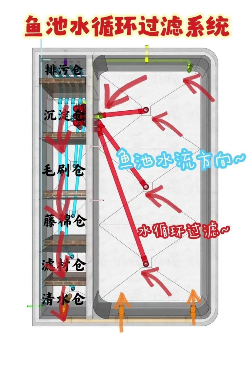 詳細閱讀:如何改善金魚的生活環境,金魚生活環境改善 如何改善金魚的生活環境,金魚生活環境改善
