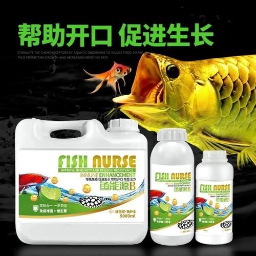 有哪些魚藥可以提升龍魚活力? 龍魚百科 第6張 有哪些魚藥可以提升龍魚活力? 有哪些魚藥可以提升龍魚活力? 龍魚百科 第6張