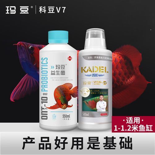 有哪些魚藥可以提升龍魚活力? 龍魚百科 第2張 有哪些魚藥可以提升龍魚活力? 有哪些魚藥可以提升龍魚活力? 龍魚百科 第2張