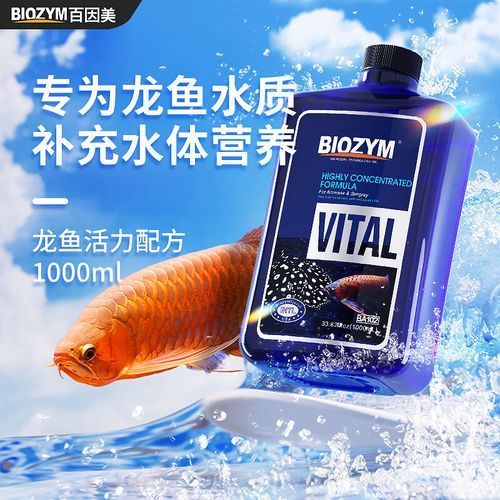 有哪些魚藥可以提升龍魚活力? 龍魚百科 第5張 有哪些魚藥可以提升龍魚活力? 有哪些魚藥可以提升龍魚活力? 龍魚百科 第5張