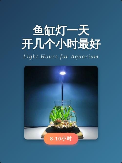 魚缸LED燈可以連續開多久