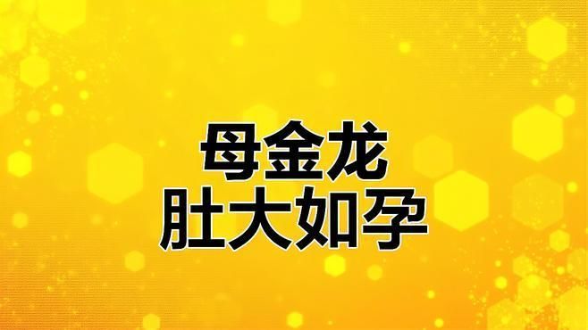 如何判斷金龍魚是否得病，怎樣判斷金龍魚是否得病？ 如何判斷金龍魚是否得病，怎樣判斷金龍魚是否得病？ 龍魚百科