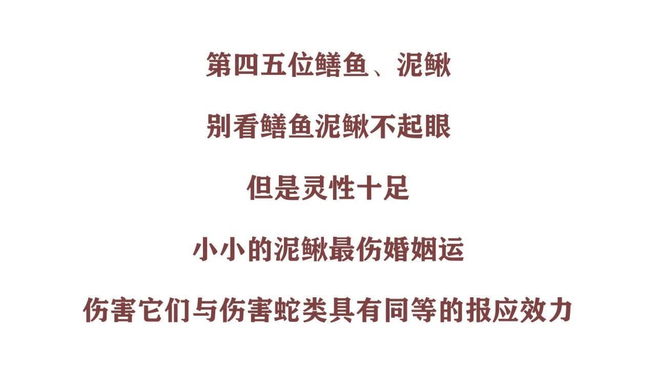 有哪些魚被認(rèn)為有靈性 有哪些魚被認(rèn)為有靈性 龍魚百科 第2張