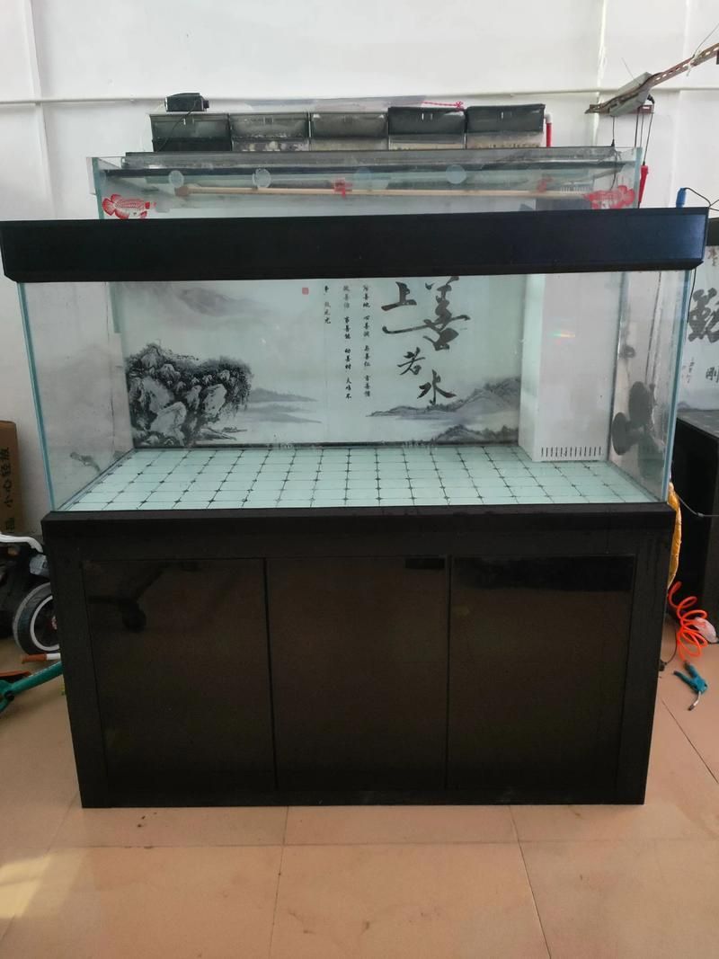 白底黑背景缸有哪些優(yōu)缺點(diǎn)，白底黑背景缸布景指南 白底黑背景缸有哪些優(yōu)缺點(diǎn)，白底黑背景缸布景指南 龍魚百科 第1張