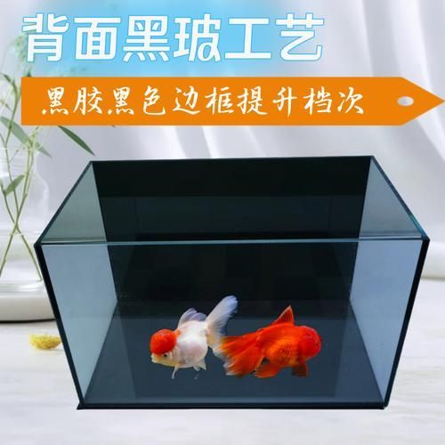 白底黑背景缸有哪些優(yōu)缺點(diǎn)，白底黑背景缸布景指南 白底黑背景缸有哪些優(yōu)缺點(diǎn)，白底黑背景缸布景指南 龍魚百科 第4張