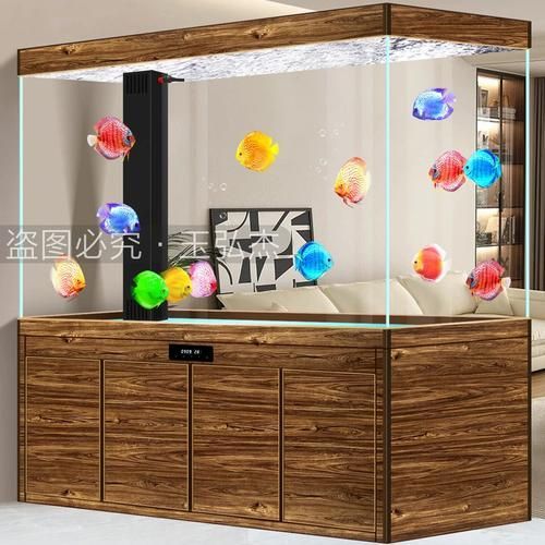 不同尺寸的龍魚缸價格是多少，龍魚缸價格因尺寸、材質(zhì)、品牌和設計而異，龍魚缸價格是多少