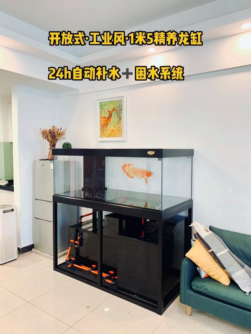 廣東水鴨魚(yú)缸的價(jià)格范圍，廣東水鴨魚(yú)缸價(jià)格 廣東水鴨魚(yú)缸的價(jià)格范圍，廣東水鴨魚(yú)缸價(jià)格 龍魚(yú)百科 第1張