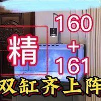 廣東水鴨魚(yú)缸的價(jià)格范圍，廣東水鴨魚(yú)缸價(jià)格 廣東水鴨魚(yú)缸的價(jià)格范圍，廣東水鴨魚(yú)缸價(jià)格 龍魚(yú)百科 第7張