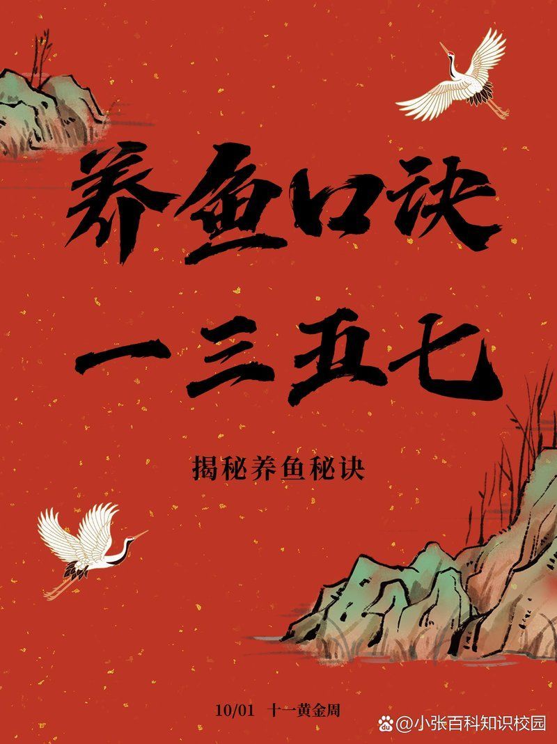 能否提供養(yǎng)龍魚十句口訣的詳細步驟，養(yǎng)龍魚十句口訣
