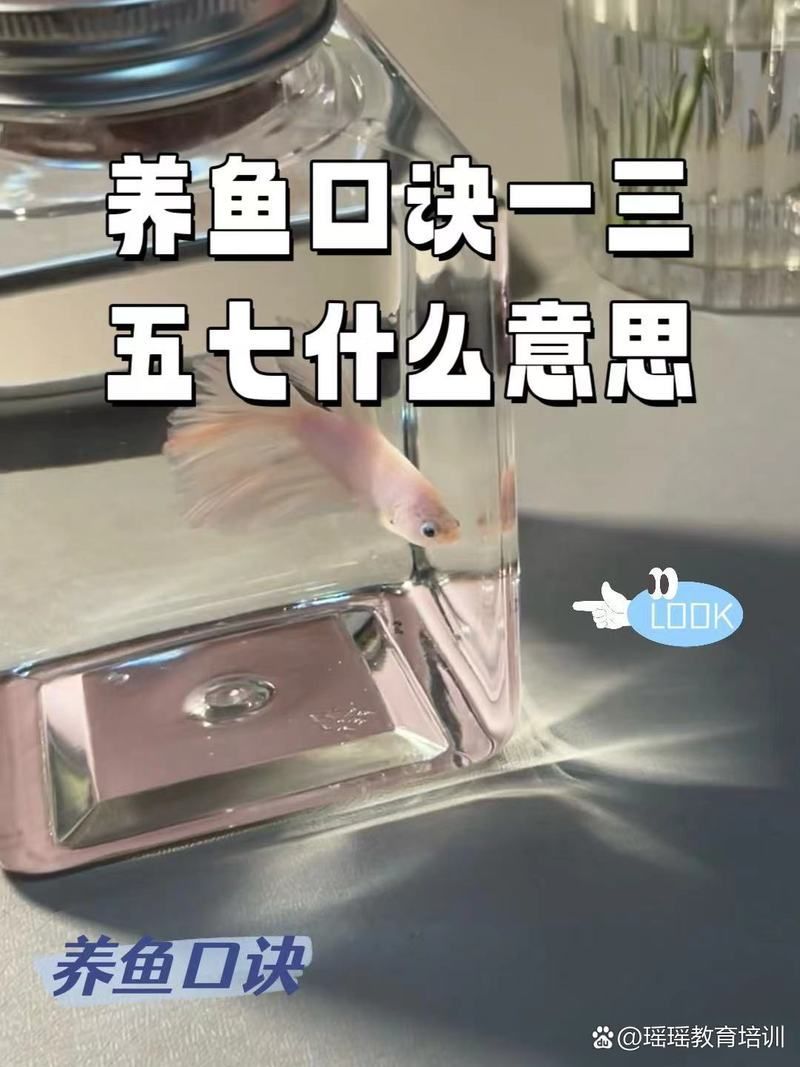 能否提供養(yǎng)龍魚十句口訣的詳細步驟，養(yǎng)龍魚十句口訣