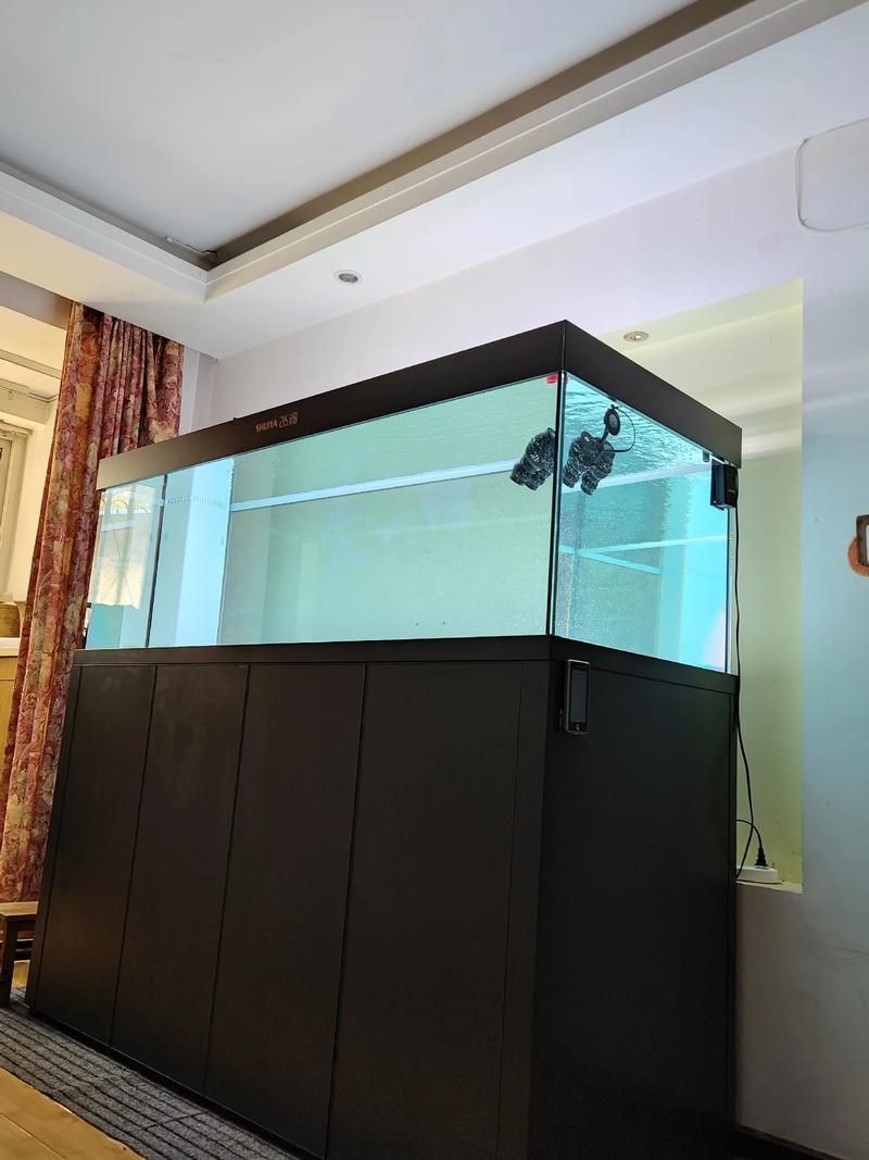 水鴨魚缸和彩蝶魚缸哪個更適合養龍魚？，“水鴨魚缸”和“彩蝶魚缸”哪個更適合養龍魚 水鴨魚缸和彩蝶魚缸哪個更適合養龍魚？，“水鴨魚缸”和“彩蝶魚缸”哪個更適合養龍魚 龍魚百科 第1張