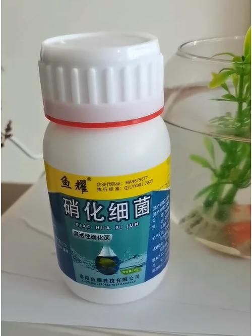 如何選擇適合魚缸的益生菌？，如何選擇適合魚缸的益生菌 如何選擇適合魚缸的益生菌？，如何選擇適合魚缸的益生菌 龍魚百科 第6張