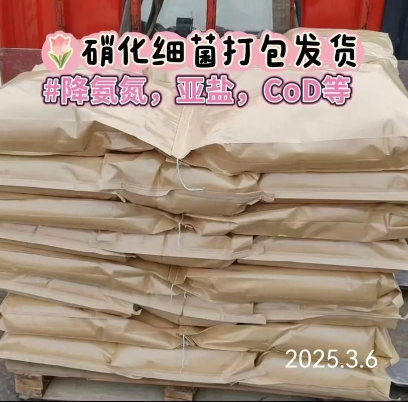 如何選擇適合魚缸的益生菌？，如何選擇適合魚缸的益生菌 如何選擇適合魚缸的益生菌？，如何選擇適合魚缸的益生菌 龍魚百科 第3張