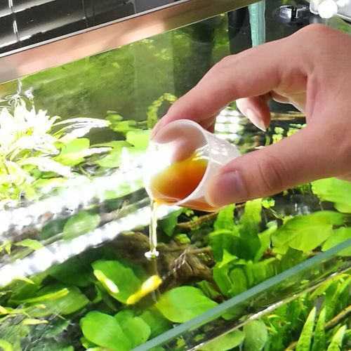 如何選擇適合魚缸的益生菌？，如何選擇適合魚缸的益生菌 如何選擇適合魚缸的益生菌？，如何選擇適合魚缸的益生菌 龍魚百科 第4張