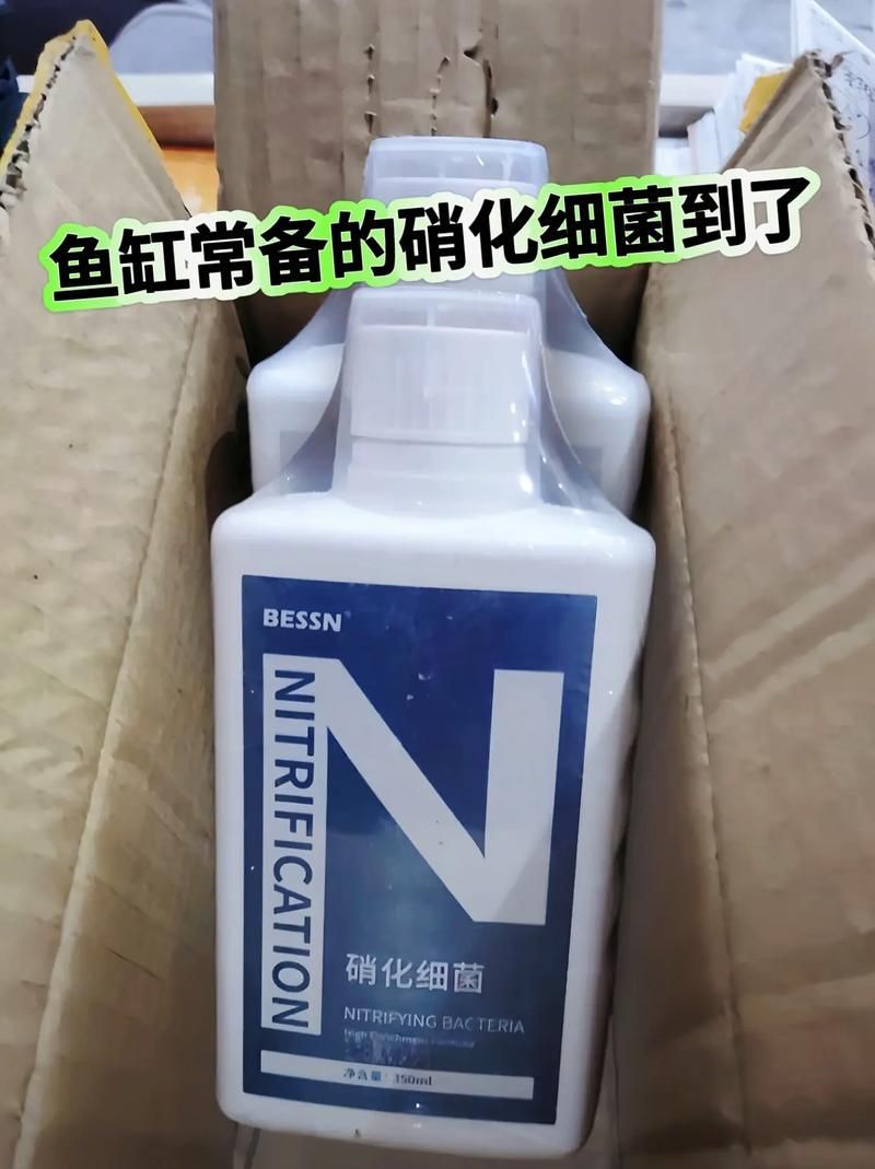 如何選擇適合魚缸的益生菌？，如何選擇適合魚缸的益生菌 如何選擇適合魚缸的益生菌？，如何選擇適合魚缸的益生菌 龍魚百科 第1張