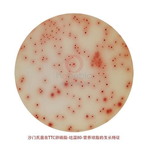 西安地區(qū)春季腸炎高發(fā)原因 西安地區(qū)春季腸炎高發(fā)原因 龍魚(yú)百科 第5張